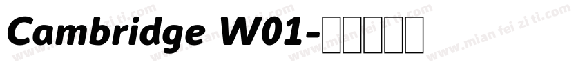 Cambridge W01字体转换